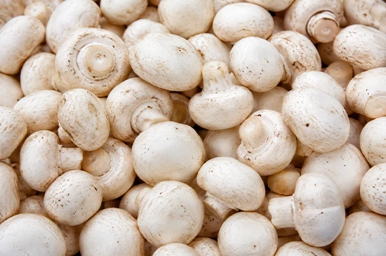 nandikoti_Mashroom Growing Chamber